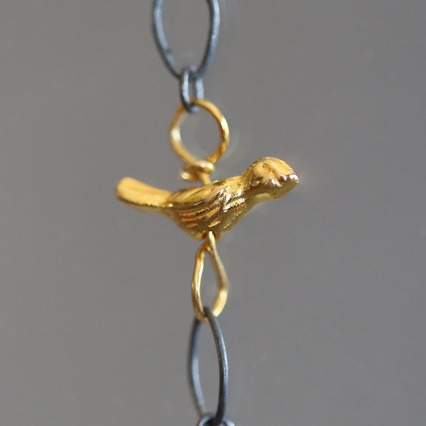Taking Flight Cholla Skeleton and Golden Bird Necklace