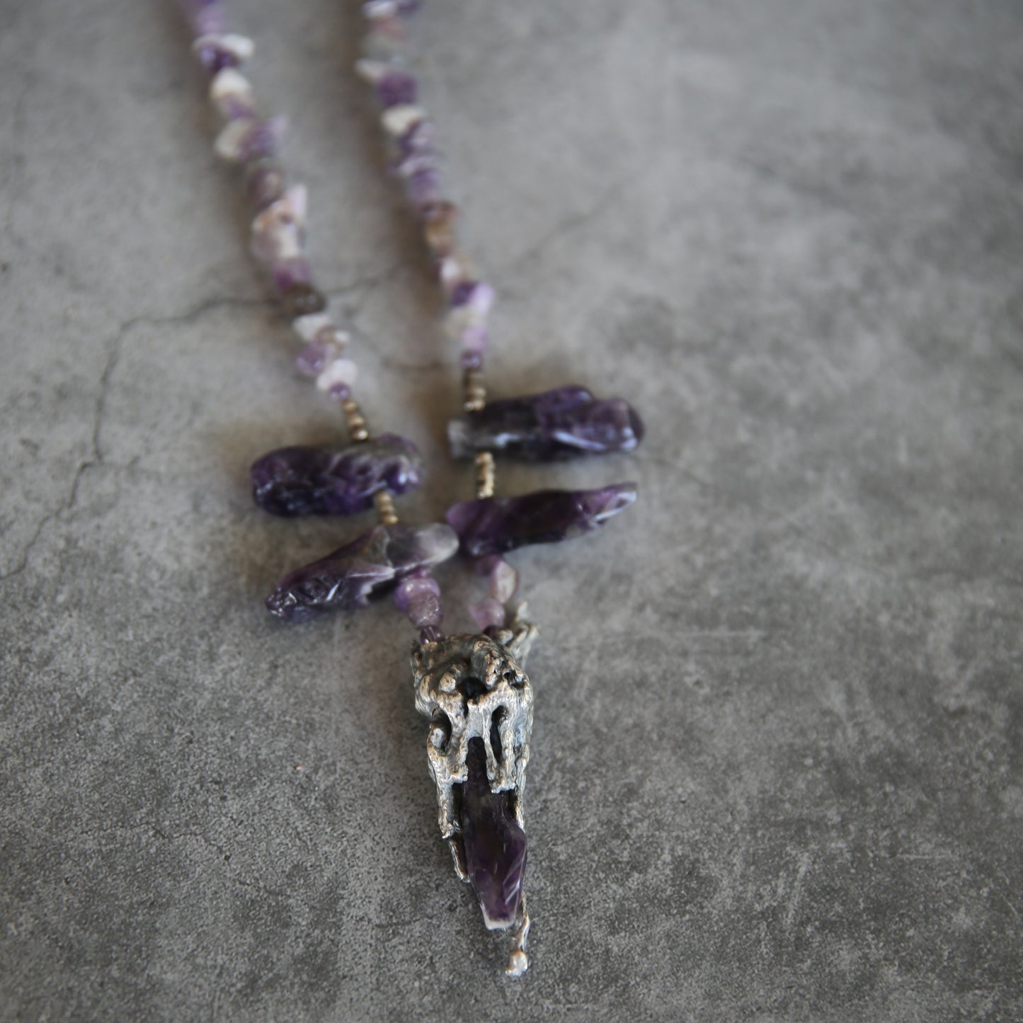 The Executioner Cholla Skeleton and Amethyst Necklace