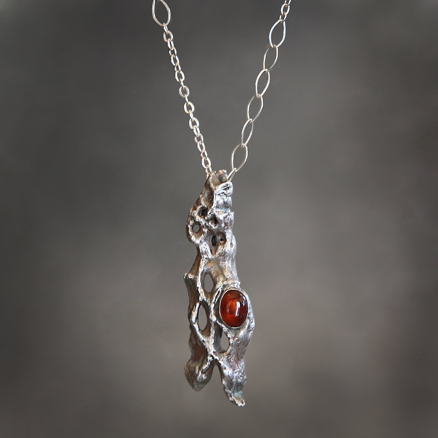 Sol & Bone Cholla Skeleton and Amber Necklace