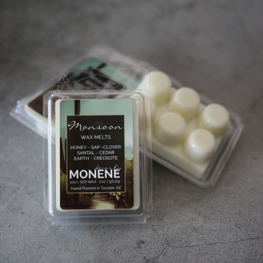 Monsoon Desert Rain Scented 2oz Wax Melts Soy