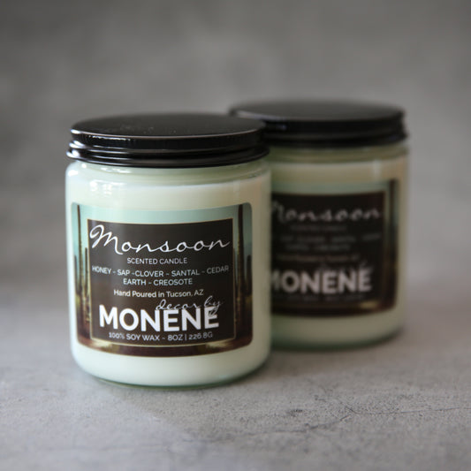 Monsoon Desert Rain Scented 8oz Soy Wax Candle